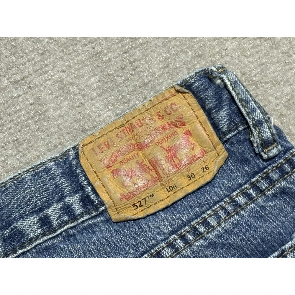 Levis levis 527